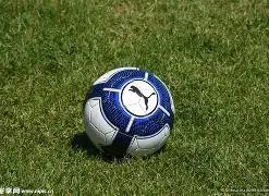 卫冕冠军意,外淘汰,超级数据,ebpay,ebpay钱包,ebpay钱包官网下载