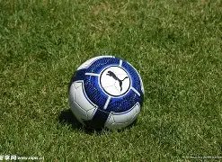 篮球技能提,升教程,Ebpay支付,ebpay,ebpay钱包,ebpay钱包官网下载