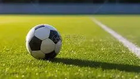 顿涅茨克矿工求购格雷米奥17岁中场麦格，报价高达1500万欧