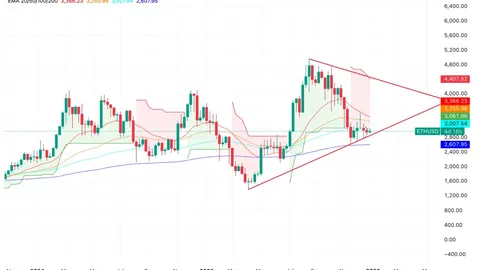 方媛亮相游乐园，性感露背裙展现曼妙身姿